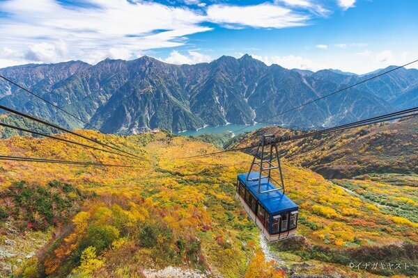 富山県と長野県を結ぶ「立山黒部アルペンルート」、2025年2月28日(金)よりWEBきっぷの先行販売を開始