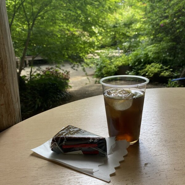 2025年度は47日間の開園「つくば牡丹園」「PEONY GARDEN(ピオニーガーデン) 2025」4月9日(水)～5月25日(日)