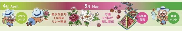 2025年度は47日間の開園「つくば牡丹園」「PEONY GARDEN(ピオニーガーデン) 2025」4月9日(水)～5月25日(日)