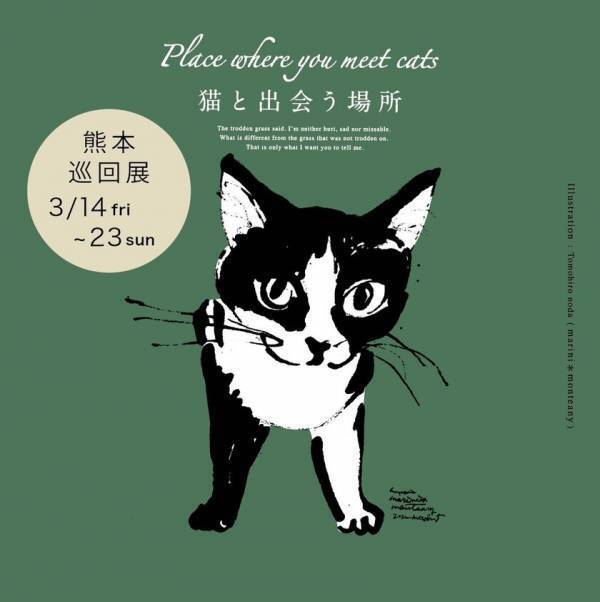 アートで保護猫応援！「Place where you meet cats ～猫と出会う場所～ 熊本巡回展」3月14日～3月23日にサクラマチ クマモトにて開催決定