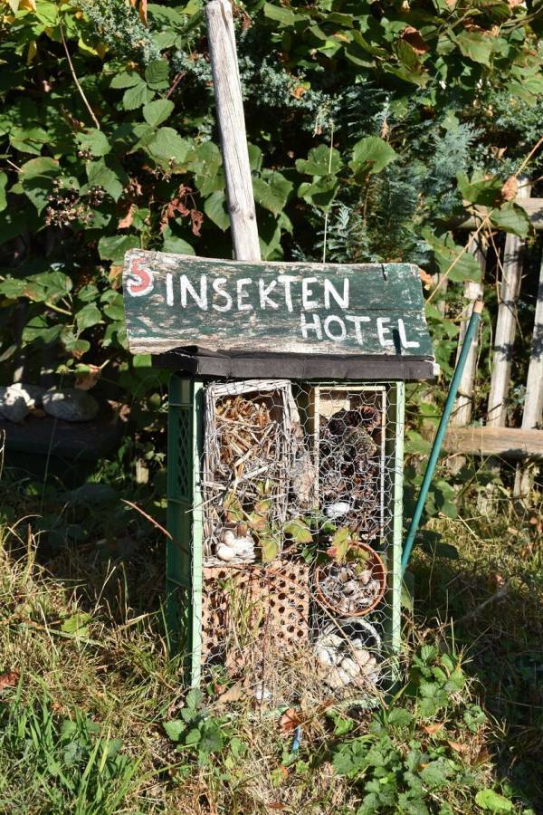 ドイツの持続可能な社会づくりを学ぶツアーを2025年6月に開催！5泊7日間　園庭ビオトープ、国際空港など8か所を訪問【募集締切 3月10日まで】