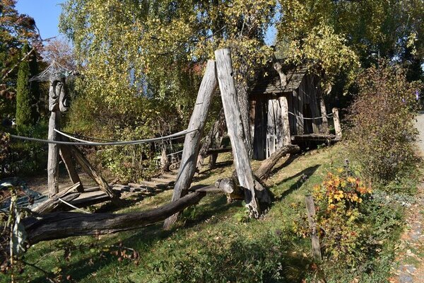 ドイツの持続可能な社会づくりを学ぶツアーを2025年6月に開催！5泊7日間　園庭ビオトープ、国際空港など8か所を訪問【募集締切 3月10日まで】