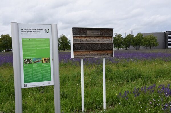 ドイツの持続可能な社会づくりを学ぶツアーを2025年6月に開催！5泊7日間　園庭ビオトープ、国際空港など8か所を訪問【募集締切 3月10日まで】