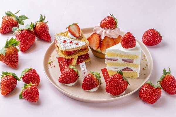 いちご専門店の道の駅 大人気の「静岡いちごの食べ放題」が帰ってきた！いちごの品種を食べ比べできるスイーツプレートや自分で仕上げる新感覚ショートケーキも春季限定登場！！