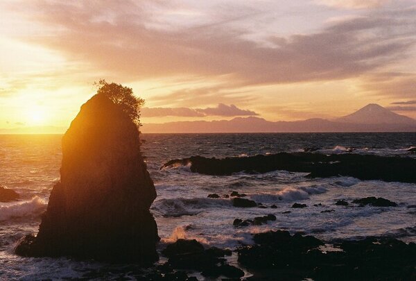 三浦半島の各地域の魅力を楽しむ旅「mitabi」の情報発信がはじまります