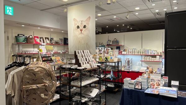 飛び猫10周年記念！猫写真の展示や新作・人気の猫グッズが集合　期間限定「飛び猫商店」を東京・埼玉・神奈川で順次開催