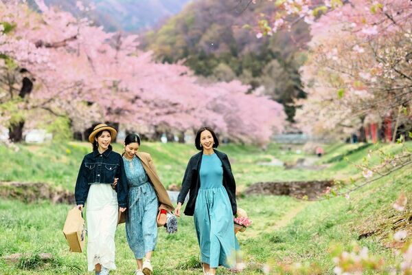 東北の春を満喫！福島の景勝地「観音寺川の桜並木」を満喫するお花見プランをホテルリステル猪苗代がご提案！