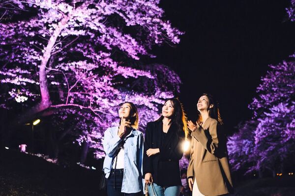 東北の春を満喫！福島の景勝地「観音寺川の桜並木」を満喫するお花見プランをホテルリステル猪苗代がご提案！