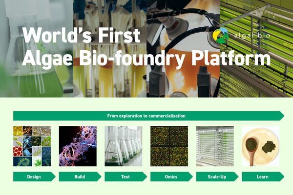 タイ・BLCPパワーと微細藻類によるCO2固定化技術実証の共同研究契約書に調印