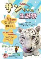 池田動物園(岡山県)のホワイトタイガー「サン」生誕祭　3/16(日)にアイケンジャパンが協賛イベントを開催