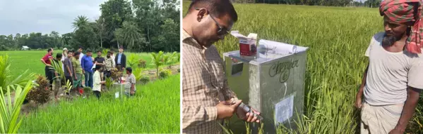 両備システムズ、バングラデシュにおける農業データプラットフォームによる農業DX及びカーボンクレジット創出に向けた実証事業を開始