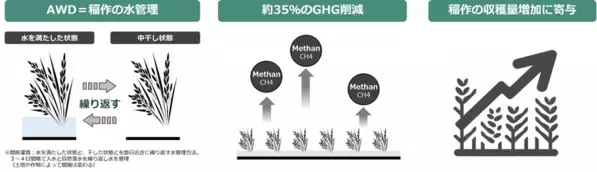 両備システムズ、バングラデシュにおける農業データプラットフォームによる農業DX及びカーボンクレジット創出に向けた実証事業を開始
