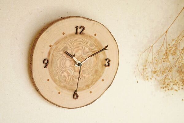 徳島の自伐林家、橋本 光治さんの人生と森作りの極意をまとめた本「生きる森　―時代を超える橋本家の木育て―(仮題)」を出版　3月6日にクラウドファンディングを開始