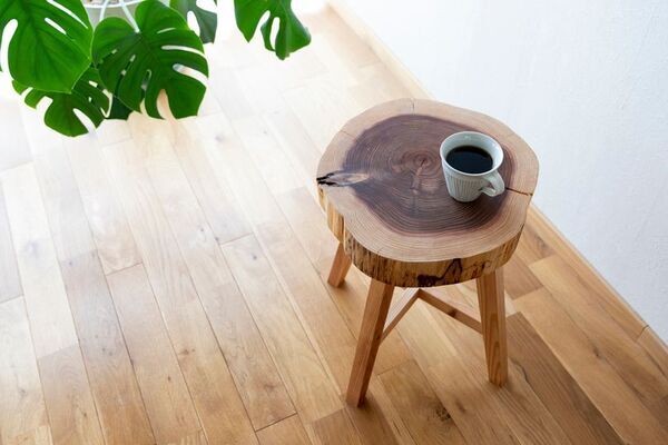 徳島の自伐林家、橋本 光治さんの人生と森作りの極意をまとめた本「生きる森　―時代を超える橋本家の木育て―(仮題)」を出版　3月6日にクラウドファンディングを開始