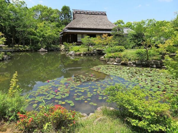 「五感から知る言葉にならない日本の美」第3回を4月19日に開催　漆芸家　小西寧子氏が登壇