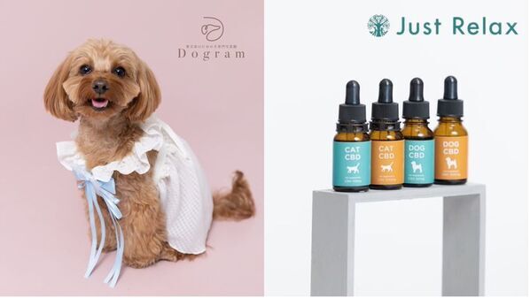 愛犬家のための犬専門写真館Dogramとペット用CBDオイルブランド Just Relaxがコラボ！4月3日より開催の「第14回インターペット」に出展