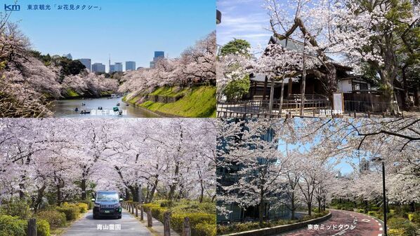 ユニバーサル車両でゆったりと桜の名所を巡る「東京観光お花見タクシー」の予約受付を開始