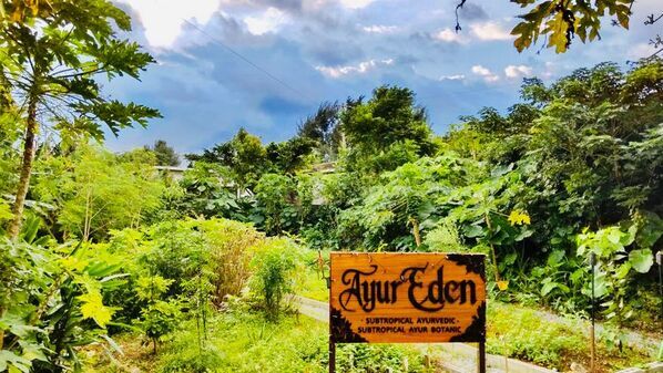 “高橋メアリージュンさん”がウェルネスアンバサダーへ就任　「アーユルウェルネスリゾート Okinawa」