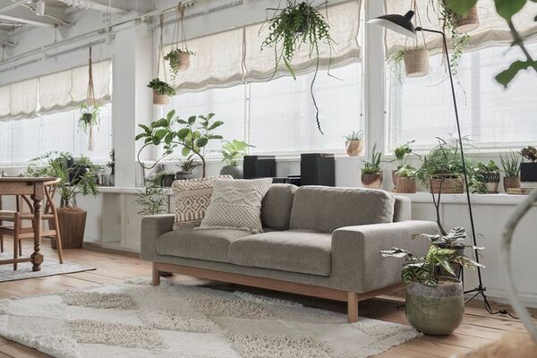 家具と植物が織りなす新発想EC『tiflo』オープン！暮らしを彩る新たなオンライン体験を提供
