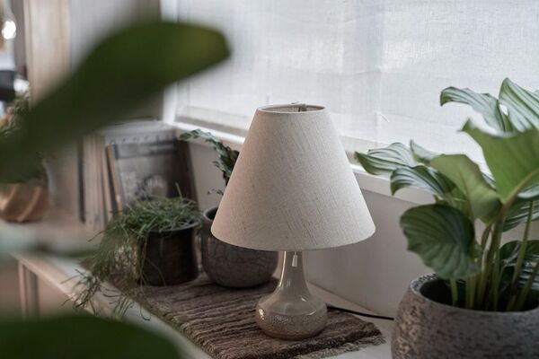 家具と植物が織りなす新発想EC『tiflo』オープン！暮らしを彩る新たなオンライン体験を提供