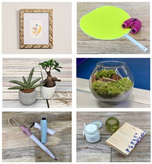 ジョイフル本田 社員の主体的な挑戦によりポップアップストア「JOYFUL Petit」を柏モディに出店！