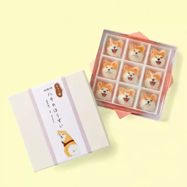 渋谷「ハチふる」でハチ公の可愛いトッピングが乗ったチョコソフトを提供！「あいことば」をお伝えいただくとトッピングが1個無料になるキャンペーンを4/30まで実施