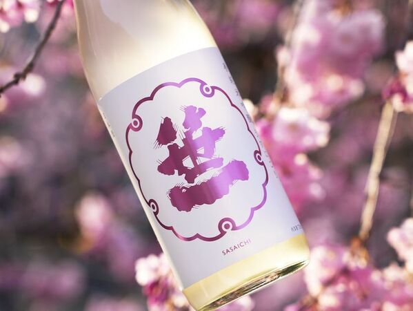 河口湖唯一の湖上レストラン『HAMANASHI HOUSEBOAT』春の特別企画！満開の桜を湖上から楽しむ『桜まつりスペシャルプラン』が期間限定で登場