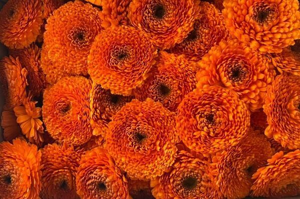 25％オフ！人気保湿マルチバーム【CHANT.バーム カレンデュラ】がAmazon特選タイムセールに登場！