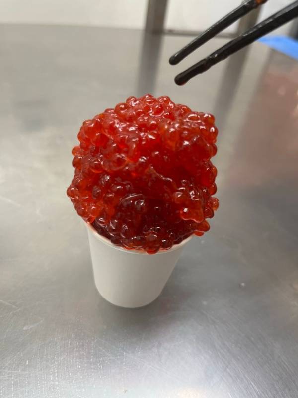 【北海道】おかげさまでリニューアルグランドオープンから555日！「春休みはサーモンパーク千歳にGO!GO!GO!感謝祭」を3/15～3/30の16日間で開催