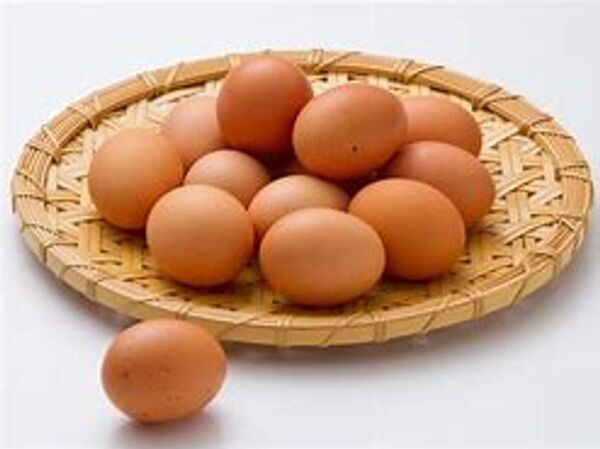 【北海道】おかげさまでリニューアルグランドオープンから555日！「春休みはサーモンパーク千歳にGO!GO!GO!感謝祭」を3/15～3/30の16日間で開催