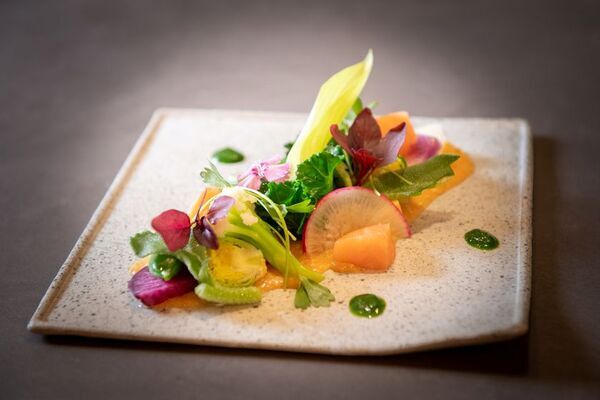 八ヶ岳の自然・暮らし・食を体験できる春限定アクティビティ　一棟貸しの宿 アグリツーリズモ ユタカに3/24から新プラン登場