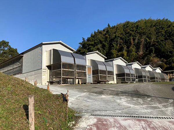 「うちのたまご羽田直売所」が羽田空港第1ターミナル地下1階に3月28日(金)待望のリニューアルオープン！～“旅行やお仕事の合間に”席数＆幅拡大で利便性向上へ～