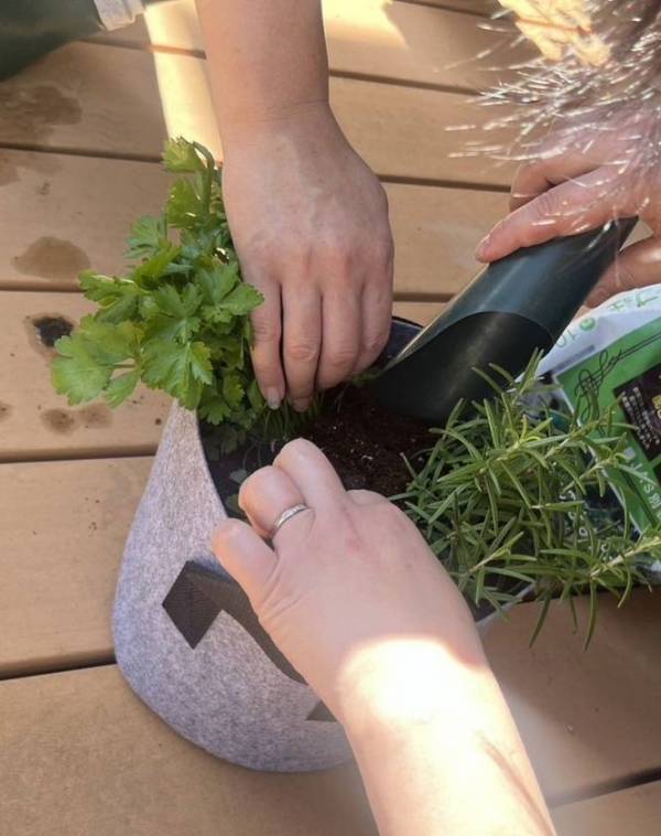植物の力でQOL向上と健康寿命の延伸を　人と植物の輪を広げる「グリーン＆スマイル リングプロジェクト」発足！