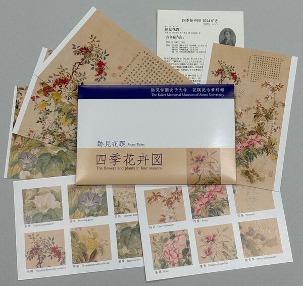 埼玉県・跡見学園女子大学 新座キャンパスにて「桜まつり2025」を3月29日(土)に開催