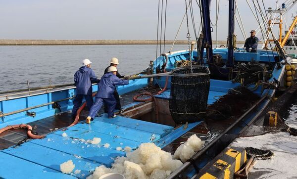 「銚子漁港」を特集したメディア向け動画素材を3月21日より公開！【Pick Up CHIBA (4)】全国屈指の水揚げ量を誇る銚子漁港をチーバくんがご紹介