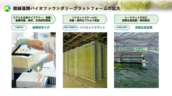 アルガルバイオ、イービス藻類産業研究所の経営権を取得　EPA高含有ナンノクロロプシス事業を統合