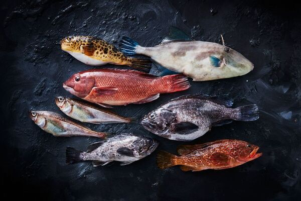 秋田・男鹿の新規ホテル「山人-oga-」5月18日に開業　ホームページを正式公開し、3月18日に予約受付開始