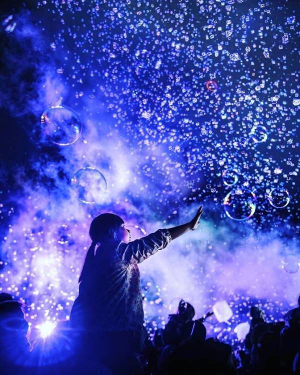 兵庫県三田市「三田さくら物語」プロジェクト　「さんだ桜まつり2025」を令和7年3月30日に開催！