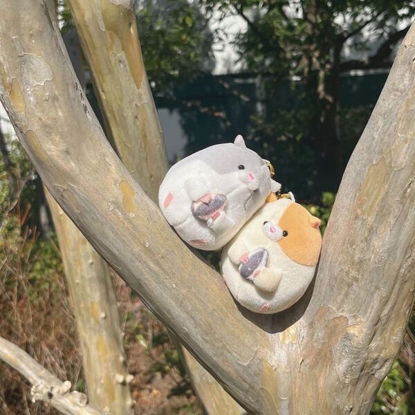 雑貨メーカークラックスが雑貨ブランド「crux closet」のPOP UPショップを有楽町マルイにて3月31日(月)より初開催