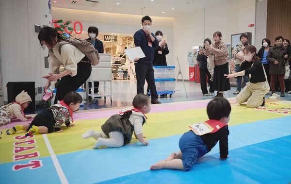 京都伏見『MOMOテラス』10周年記念イベント「ギョギョッとギョーテン！さかなクン ステージ」や「ハーフ成人式～みんなのつどい～」などを4/26・27に開催