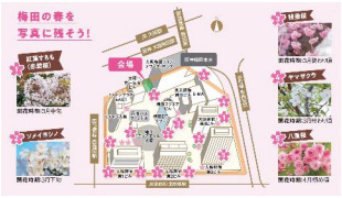 「大阪ダイヤモンドフェスタ2025 ～Spring～」を3月24日（月）～4月13日（日）に開催します～「第9回 大阪ダイヤモンド地区さくらフォトコンテスト」や 現地イベント「春の宴」を開催～