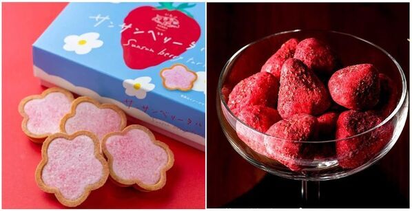 いちごいちごいちご！西船橋駅駅ナカで3月22日(土)より開催いちご尽くしの『ペリマルシェいちご祭り』