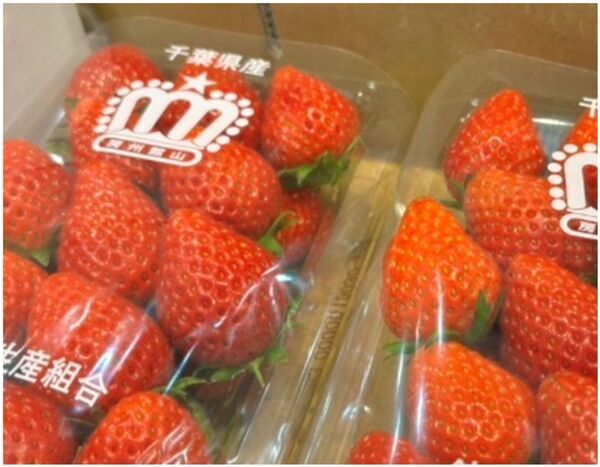 いちごいちごいちご！西船橋駅駅ナカで3月22日(土)より開催いちご尽くしの『ペリマルシェいちご祭り』