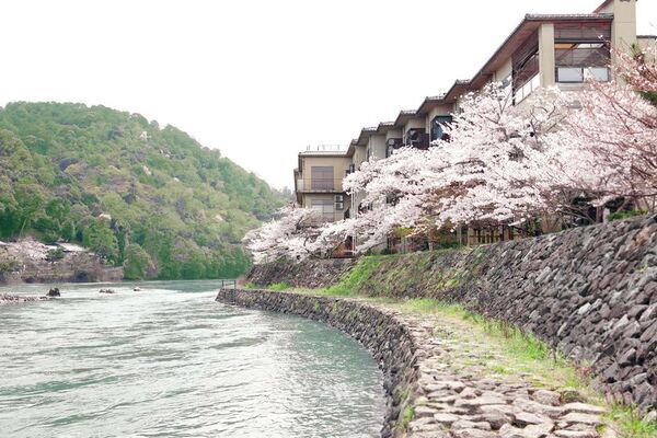 2025年4月1日に粗挽き蕎麦と里山料理の店「茶兎里」がオープン(3月25日よりプレオープン)
