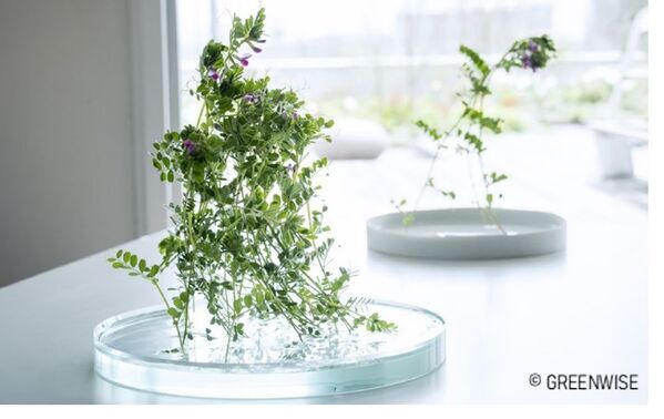 三井化学グループの組織横断的社員有志活動MOLp(R)が、「MILAN DESIGN WEEK 2025(Brera Design District)」に初出展