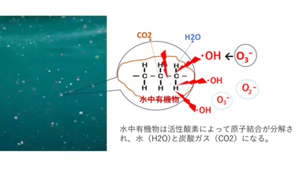 WEF技術開発、高速分解・殺菌可能な活性酸素触媒水処理法を開発