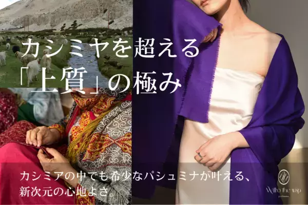 カシミヤを超える極上の肌触り！「パシュミナマフラー」CAMPFIREで3/31まで先行予約販売　触れた瞬間違いがわかる至福の柔らかさをお届け