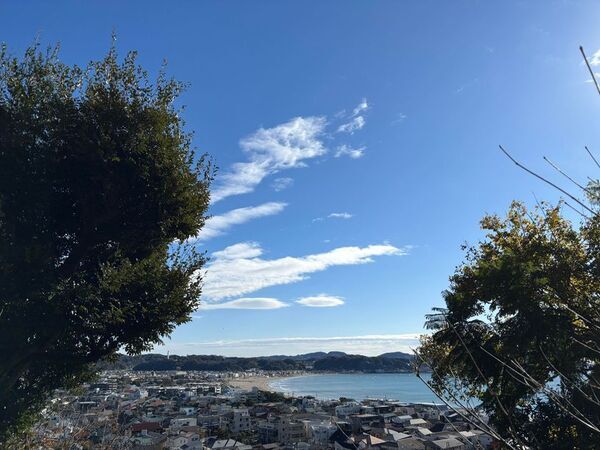 鎌倉発の体験型インバウンド「Japanese Cultural Experience Kamakura」2025年春、本格始動！