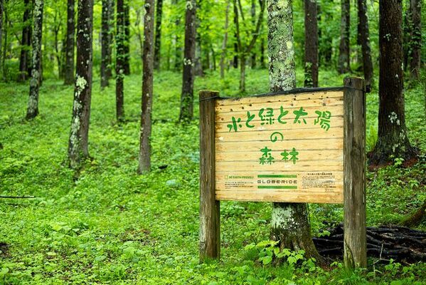 グローブライド、長野県CO2吸収量の認証を取得　-地域の森林保全活動を支援し、持続可能な社会づくりへ貢献-