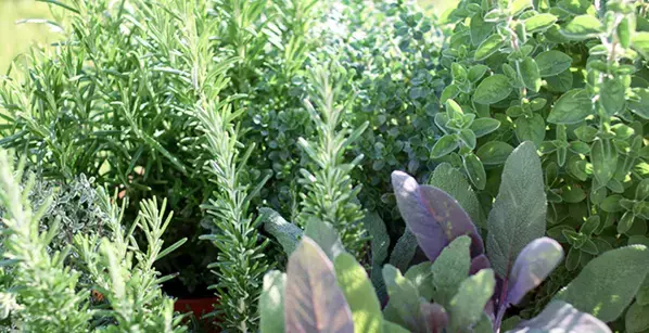 先行予約から大反響！O2クラフト×メディカルハーブ「ハーバル ボディミルク」が4月1日いよいよ発売